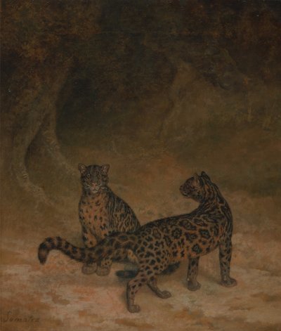 Clouded Leopards by Jacques Laurent Agasse